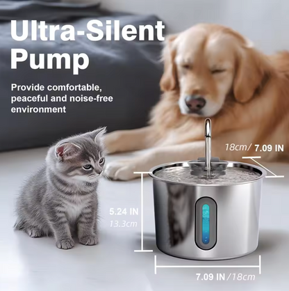 Protect your cat from dehydration and urinary emergencies with RayRay Water Fountain