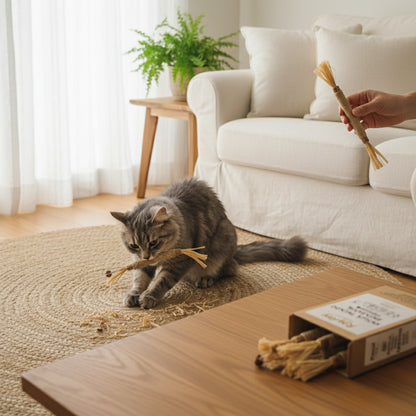 Turn Bored Moments Into Joy The Natural Way With RayRay